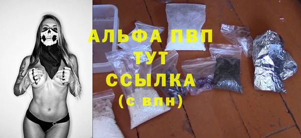 индика Аркадак