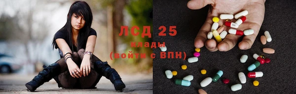 индика Аркадак