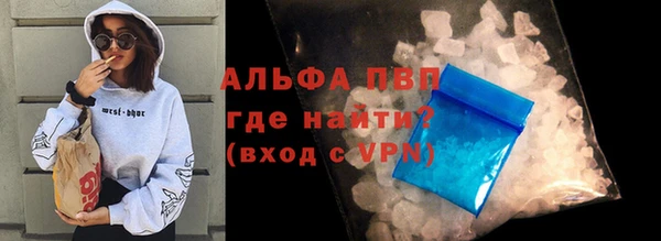 индика Аркадак