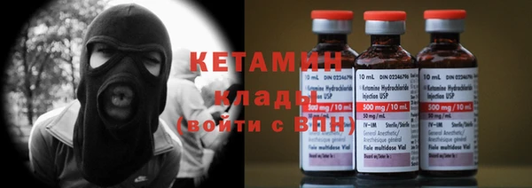 индика Аркадак