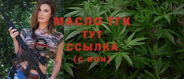 индика Аркадак