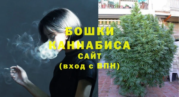 дурь Арсеньев