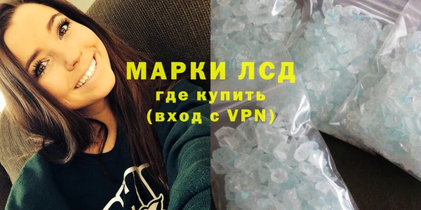 индика Аркадак