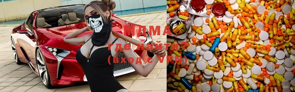 индика Аркадак