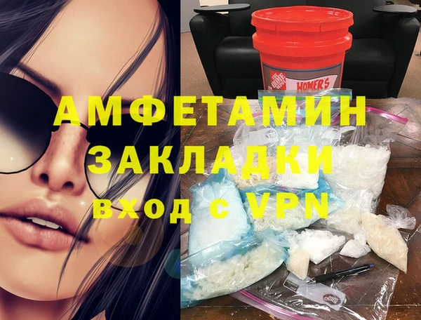 индика Аркадак