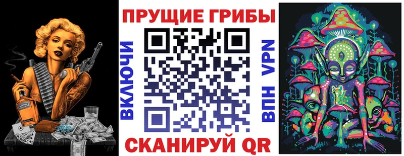 хочу наркоту  Рудня  Псилоцибиновые грибы Cubensis 